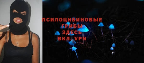 мет Аркадак