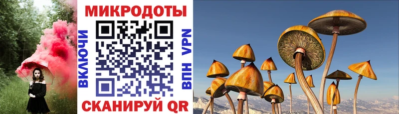 Псилоцибиновые грибы Magic Shrooms  Нефтегорск 