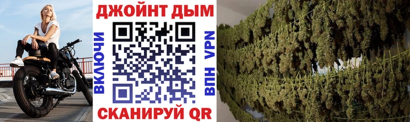 Шишки марихуана SATIVA & INDICA  блэк спрут как войти  Нефтегорск 